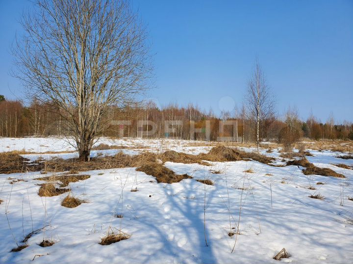 Участок 20 сот. (ИЖС)