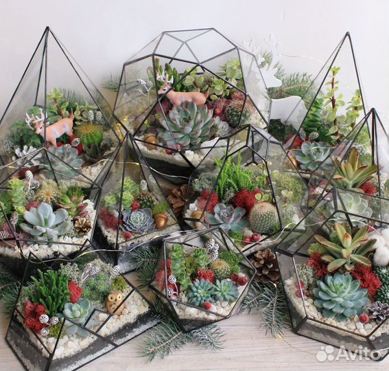 Флорариумы Magic Garden