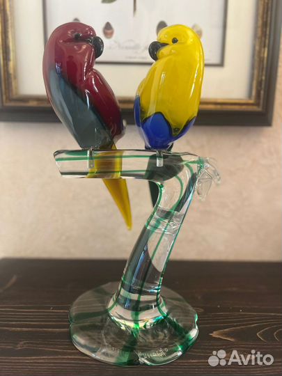 Неразлучники Colorato