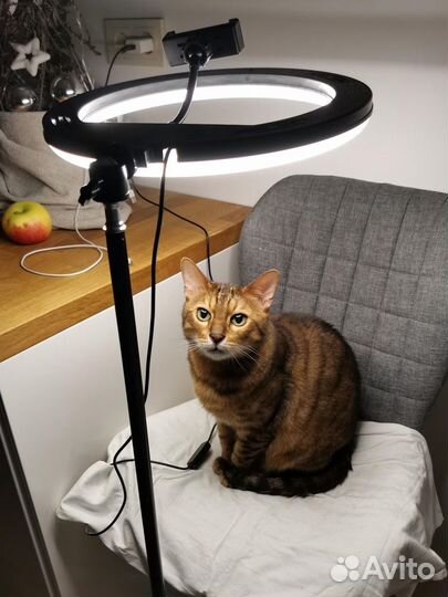 Кольцевая лампа 30см + штатив + блютуз пульт