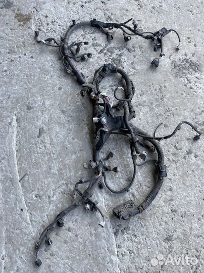 Toyota camry 50 55 проводка двигатель