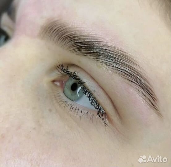 Мастер бровист