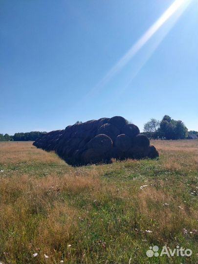 Продам сено в рулонах
