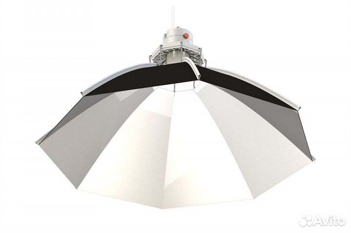 Secret Jardin Daisy 60 см