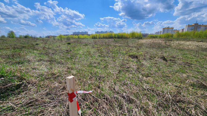 Участок 1,5 га (ИЖС)