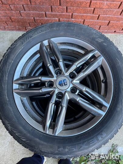 Nexen Winguard 205/55