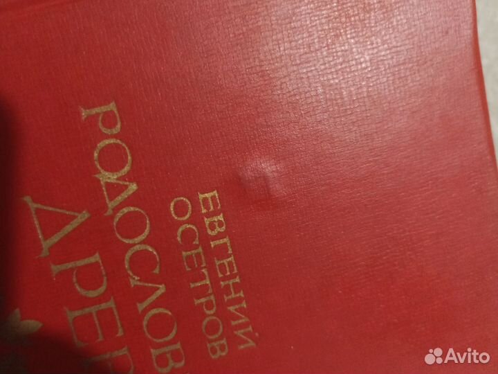 Родословное древо