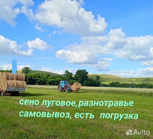 Сено в рулонах, самовывоз