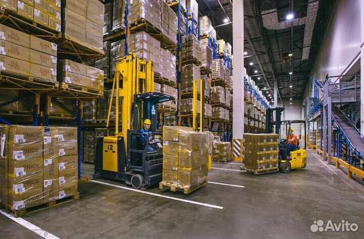 Водитель погрузчика (Софрино)