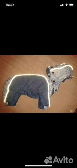 Одежда для собаки, игрушки