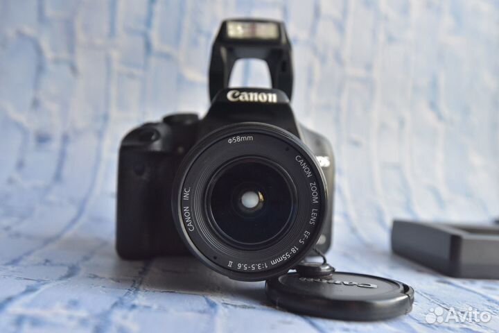 Canon 500D + 18-55 kit