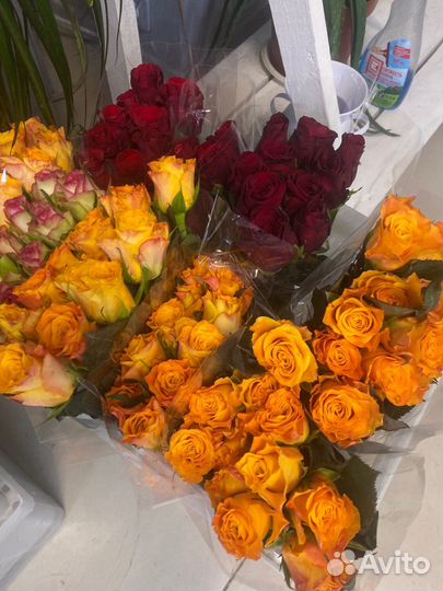 Новое поступление кенийских роз