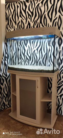 Аквариум 100 литров