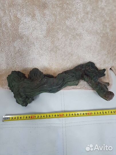 Коряга амфора известняк для аквариума