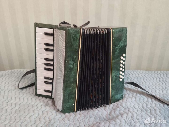 Аккордеон детский
