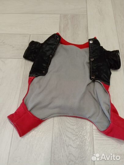 Одежда для маленьких собак