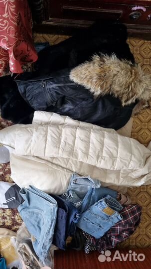 Женские вещи 42