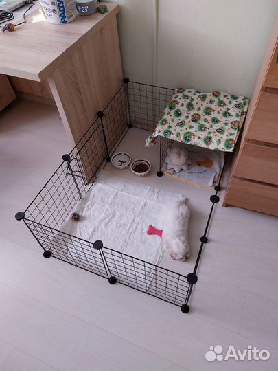 Вольер для щенков в квартиру