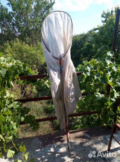 Сачок рыболовный