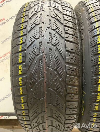 Tigar Winter 195/65 R15 95M