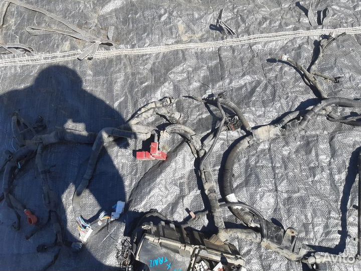 Проводка подкапотная Nissan X-Trail T31