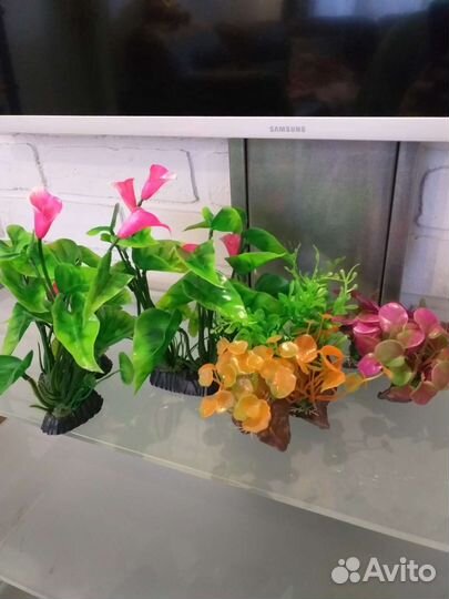 Аквариумные растения искусственные