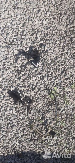 Цилиндр сцепления Kia spectra