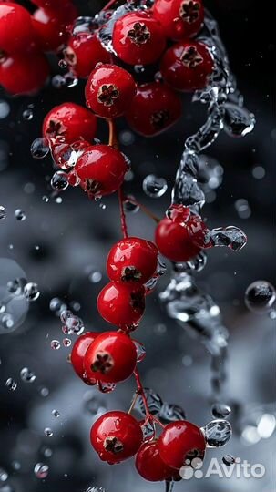 Клюква замороженная