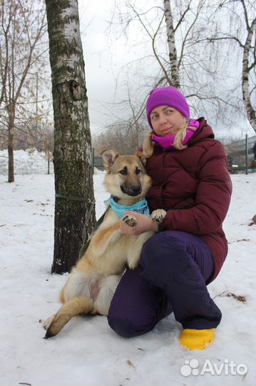 Ласковая девочка Винки грустит в приюте