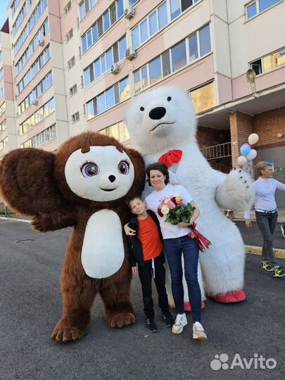 Белый Медведь Мишка Поздравление С Днем Рождения