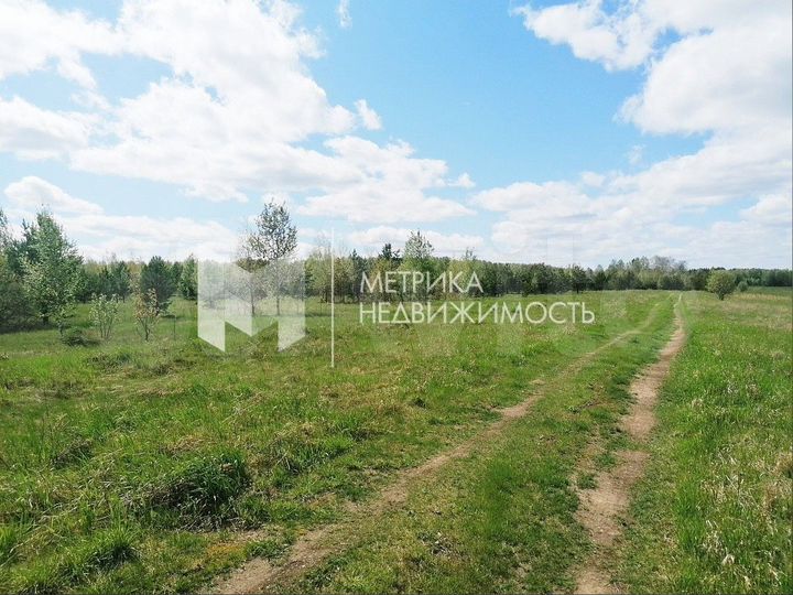 Участок 1,8 га (СНТ, ДНП)