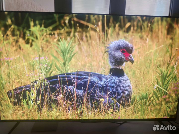 Телевизор xiaomi mi tv 5 pro 55