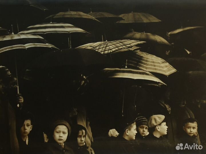 Фотография