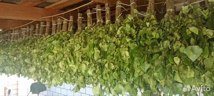 Березовые веники