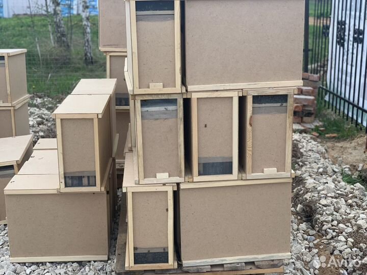 Пчелопакет Карника и Бакфаст F1