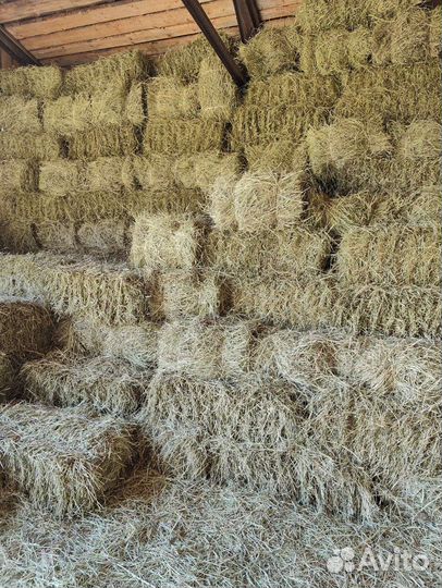 Сено в кипах (тюках)
