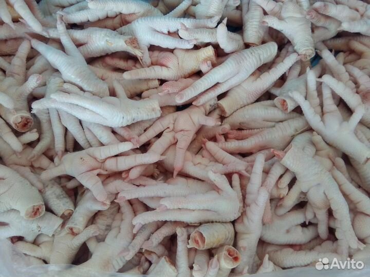 Корма для животных