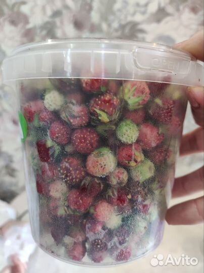 Земляника лесная