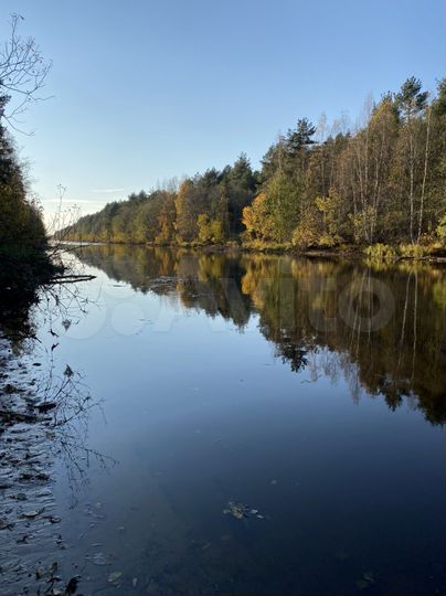 Участок 10 сот. (СНТ, ДНП)