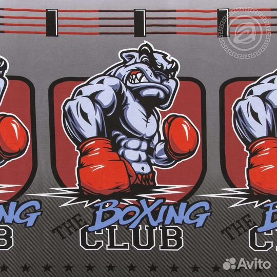 Постельное белье 1.5 Ринг Статус 100 хлопок новое