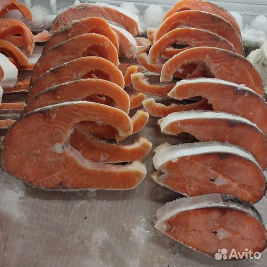 Семга свежемороженая