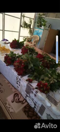Розы местые оптом