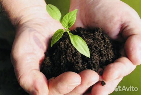 Чернозём плодородный xdg 5