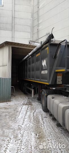 Полуприцеп самосвальный WIELTON NW 3 S 39 PKD, 2022