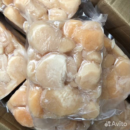 Гребешок Приморский