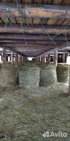 Сено в рулонах