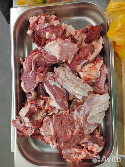Мясные обрезки для собак