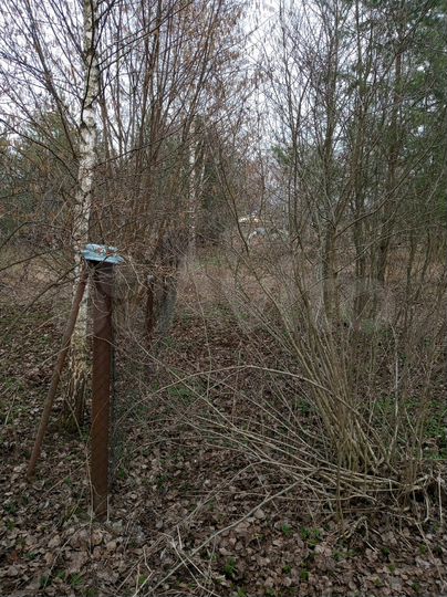 Участок 10,5 сот. (СНТ, ДНП)