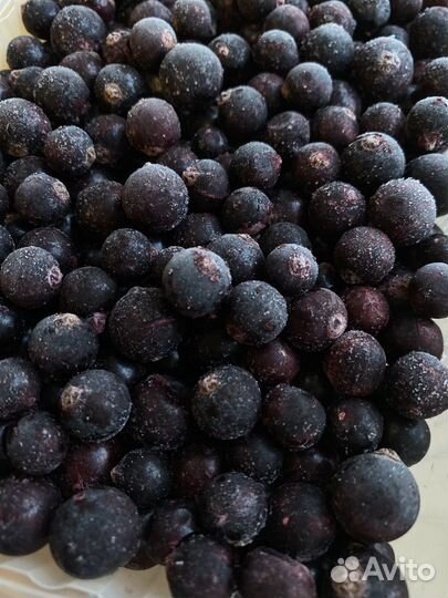 Черная смородина ягода