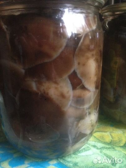 Продаю маринованные опята